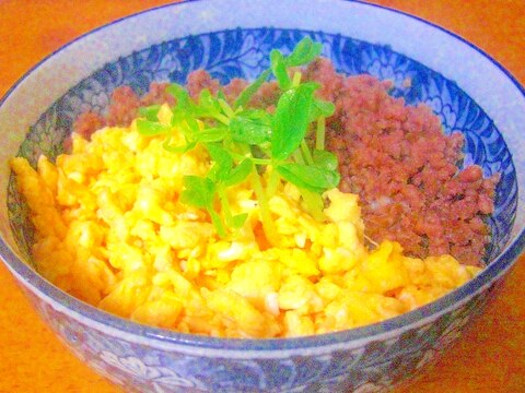 ☆お弁当にも☆二色そぼろ丼